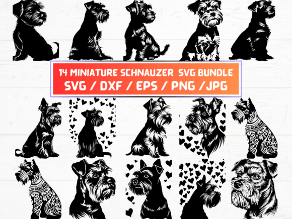 14 Miniature Schnauzer Dog Svg File