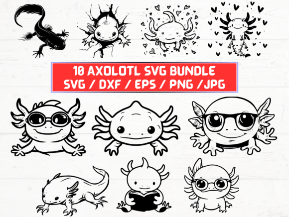 Axolotl SVG, DXF, EPS, JPG, PNG Graphics for Crafts