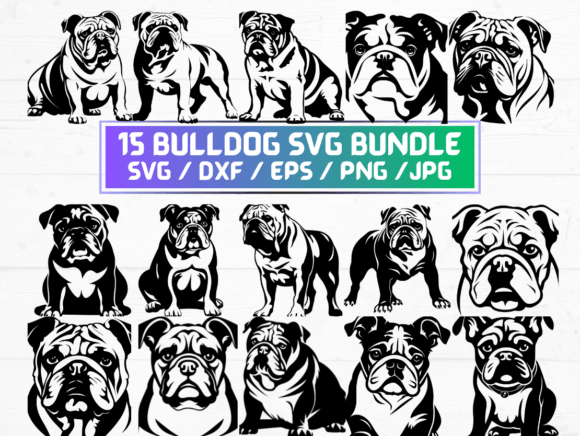 Bulldog Dog SVG Bundle Graphics and Crafts Review