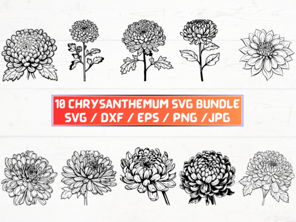 Chrysanthemum SVG, DXF, EPS, JPG, PNG Graphics for Crafts