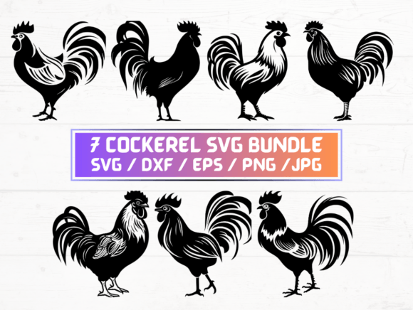 Cockerel SVG File for Graphics and Crafts Branding