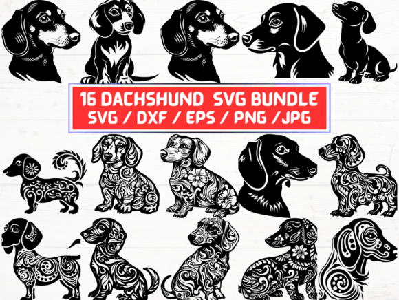 Dachshund SVG, DXF, EPS, JPG, PNG