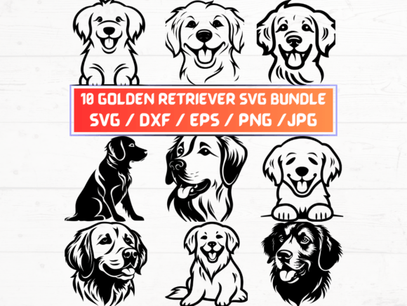 Golden Retriever Svg File Review