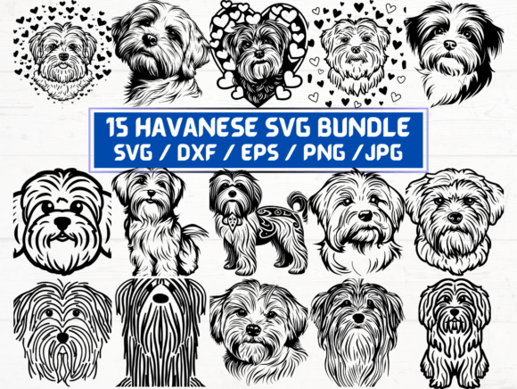 Havanese Svg Bundle Graphics and Crafts Review