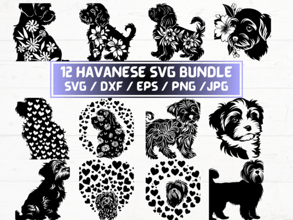 Havanese SVG, DXF, EPS, JPG, PNG