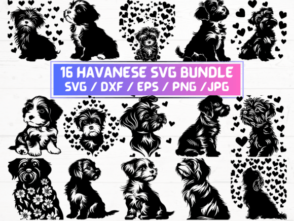 Havanese Svg, DXF, EPS, JPG, PNG Bundle for Crafts and Graphics