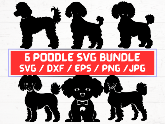 Poodle SVG, DXF, EPS, JPG, PNG Graphics and Crafts Review
