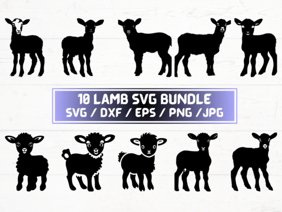 Review: Lamb SVG, DXF, EPS, JPG, PNG