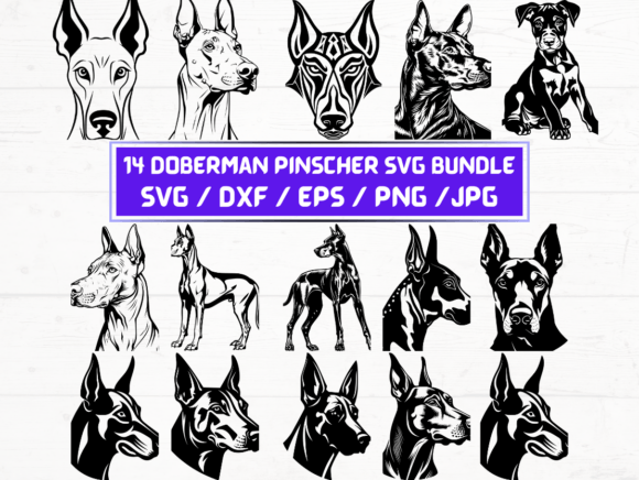 Reviewing 14 Doberman Pinscher Svg, DXF, EPS, PNG