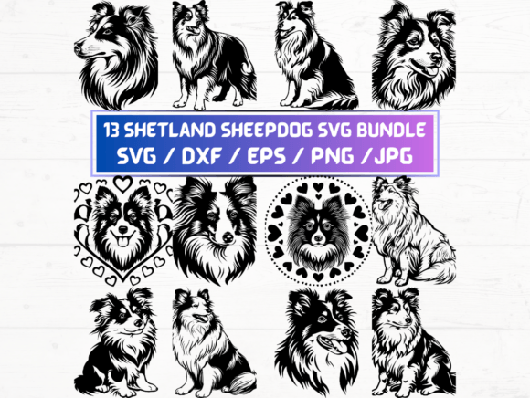 Shetland Sheepdog Dog Svg, DXF, EPS, PNG Graphics